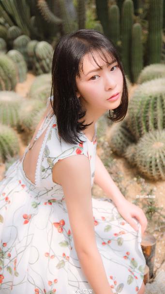 夏至未至电视剧免费观看完整版